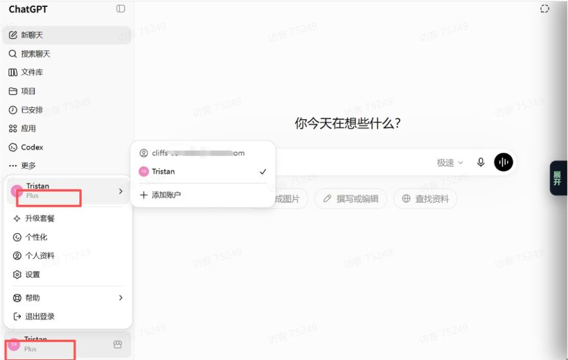 确认 ChatGPT Plus 登录成功
